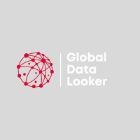 Global Data Looker logo - Similar company to The Covert Code