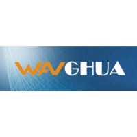 Hongkong Wanghua Technology Limited