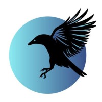 Hugin Consulting logo - Similar company to Brainwave - Innovation Consulting