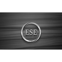 Evershine Energy logo - Similar company to Prabhat Pathology Laboratory