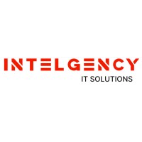 INTELGENCY IT Solutions logo - Similar company to Techylem Solutions (Pvt.) Ltd.