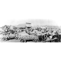 Town Of Krupp
