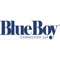 Blue Boy Consulting LLP logo - Similar company to 5Sikos