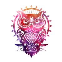 Crazy Owl Films logo - Similar company to The Core Circle