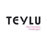Teylu and Partners logo - Similar company to Wild West Comms