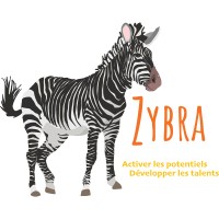 Zybra logo - Similar company to Capenso Venture Partners