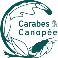 Carabes et Canopée logo - Similar company to Ynnova S.R.L.