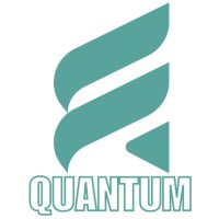 Quantum Leap AI logo - Similar company to Tds Hitech Solutions Ltd