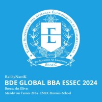 BDE Global BBA ESSEC - RNK logo - Similar company to Modessec