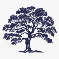 The Hand Foundation, Inc
