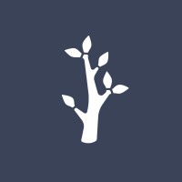 Silvertree logo - Similar company to Cephable