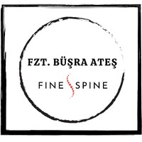 Fzt. Büşra Ateş FineSpine logo - Similar company to Vertikal Fizyoterapi