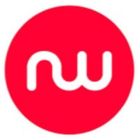 Netwo logo - Similar company to Nesevo Group