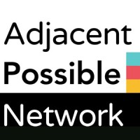 Adjacent Possible Network logo - Similar company to Nie Leadership Consulting Gmbh