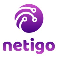 Netigo CE s.r.o. logo - Similar company to Ryant, S.R.O.
