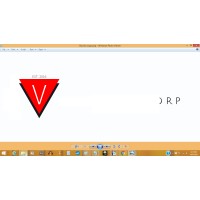 Viglienzoni Corp