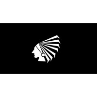 Blackindian AI logo - Similar company to Fletcherⓡ