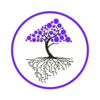 Kipimo Solutions logo - Similar company to Silverleaf Academy