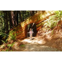 Humboldt County Visitors Bureau logo - Similar company to Stride Agency