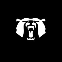 BraunPower® logo - Similar company to Belively