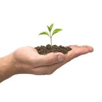 Green logo - Similar company to Orbit Business Development Limited