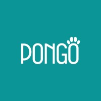 PONGO logo - Similar company to Pongo.Io