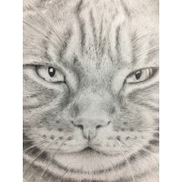 Pencil Portraits of Wilmslow logo - Similar company to Pencil Art By John D. Herz