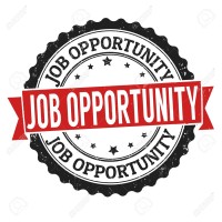 Work From Home - Fresher and Experience logo - Similar company to Work From Home