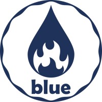 Blue Soluções logo - Similar company to Wilsons Ltd