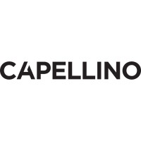 Capellino Design and Partners SRL logo - Similar company to Gap Studio Asti