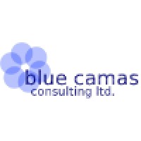 Blue Camas Consulting logo - Similar company to Waymark Architecture