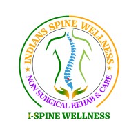 Indians Spine Wellness Non-Surgical Rehab & Care logo - Similar company to V2 Edibles