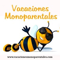 VACACIONES MONOPARENTALES logo - Similar company to The Exit Plan Podcast
