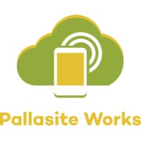 Pallasite Works
