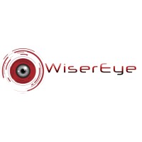 WiserEye Consulting logo - Similar company to Hedgevantage Limited