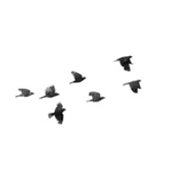 Avigation Ltd