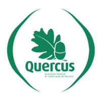 Quercus logo - Similar company to Zero - Associação Sistema Terrestre Sustentável