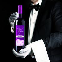 Villa Petra Wine logo - Similar company to Cantina Mesa