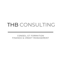 THB CONSULTING logo - Similar company to Thb Conseil