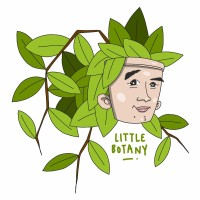 Littlebotany logo - Similar company to Nus Spears Lab