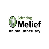 Melief Animal Sanctuary logo - Similar company to Trai Vegan - Kookstudio - Vergaderen - Teamuitjes