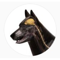 Veteriner Nöroloji logo - Similar company to Kolay Çiftlik Veteriner Sağlık Ve Danışmanlık Hizmetleri A.Ş.