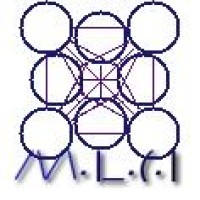 MLCI S.R.L. logo - Similar company to Imcl
