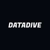 DataDive Consulting logo - Similar company to Timby