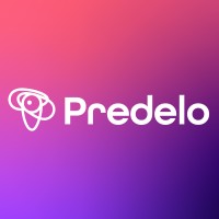 Predelo logo - Similar company to Deciphr Ai