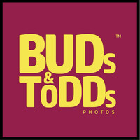 Buds & Todds logo - Similar company to Idyllic Technologies Ltd
