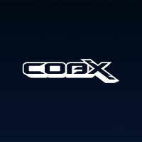 CobX Gaming Private Limited logo - Similar company to Getbaron Gaming