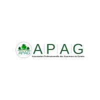 Association Professionnelle des Assureurs de Guinée - APAG logo - Similar company to Cw & Associates