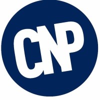 Chuchu Nwagu Productions logo - Similar company to Shell'S Creative Solutions: Content Engine