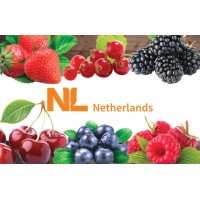 Netherlands Soft Fruit Solutions Serbia logo - Similar company to Frutillas O Fresas